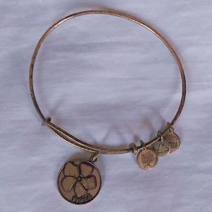 Alex and Ani friend bracelet